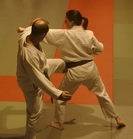 Ju-jitsu à Nantes