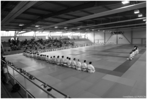 Stage de judo Gévrise Emane