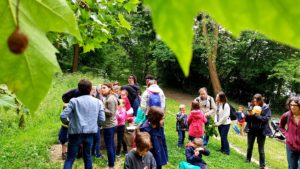 balade des baby judo